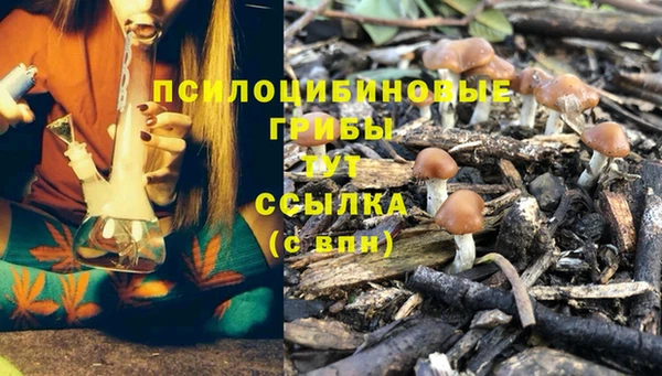 прущие крисы Алзамай
