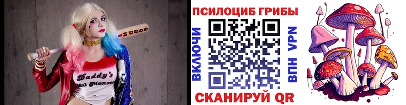 kraken маркетплейс  Псков  дарк нет телеграм  Псилоцибиновые грибы GOLDEN TEACHER 
